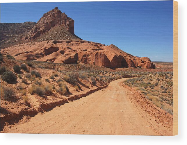 Daniel Woodrum Wood Print featuring the photograph Hole-In-The-Rock Road II by Daniel Woodrum