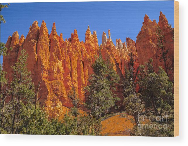 Bryce Canyon Wood Print featuring the photograph Hoodoos Along the Trail by Robert Bales