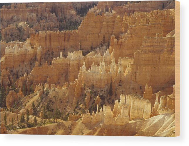 Feb0514 Wood Print featuring the photograph Hoodoos Bryce Canyon Utah by Gerry Ellis