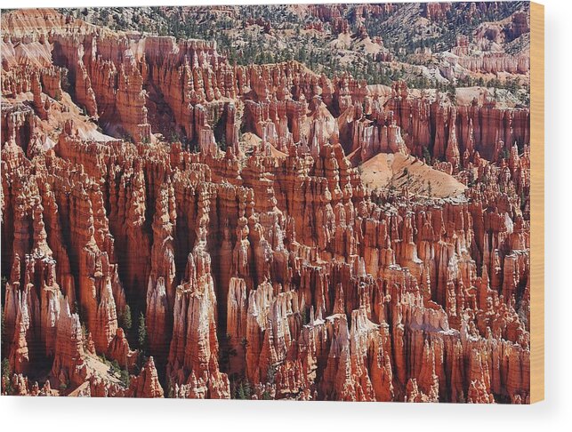 Nature Wood Print featuring the photograph Hoodoos of Bryce Canyon by Bruce Bley