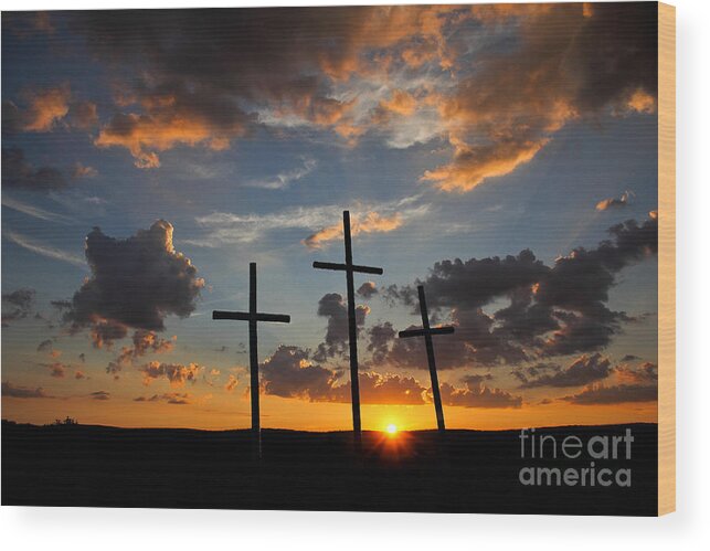 Landscape Wood Print featuring the photograph Horizon of Hope by Everett Houser