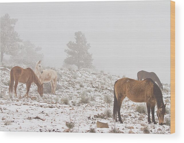 Horses Wood Print featuring the photograph Horses in the Winter Snow and Fog by James BO Insogna