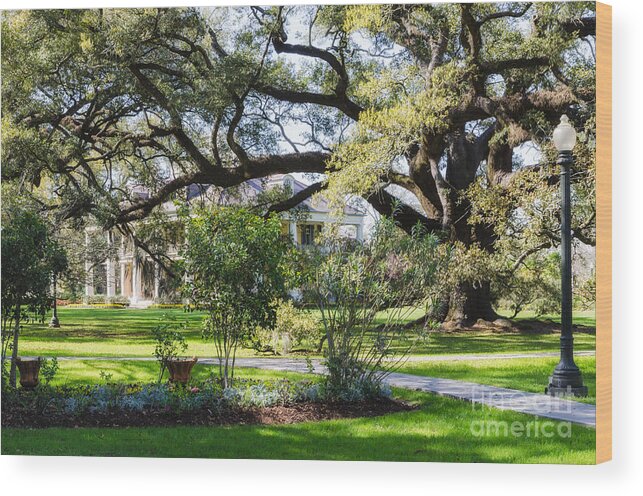 River Road Wood Print featuring the photograph Houmas House Plantation in Louisiana by Kathleen K Parker