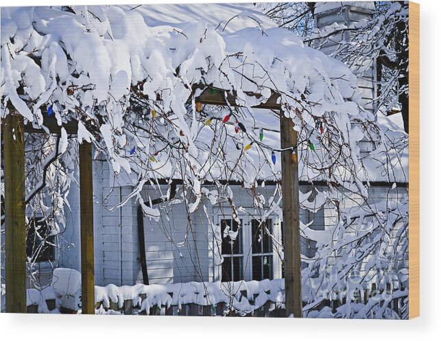 House Wood Print featuring the photograph House under snow 2 by Elena Elisseeva
