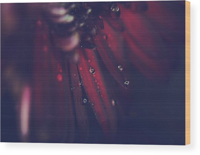 Flowers Wood Print featuring the photograph How Deep Is Your Love by Laurie Search