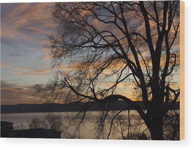Tree Wood Print featuring the photograph Hudson River winter landscape at sunset by Marianne Campolongo