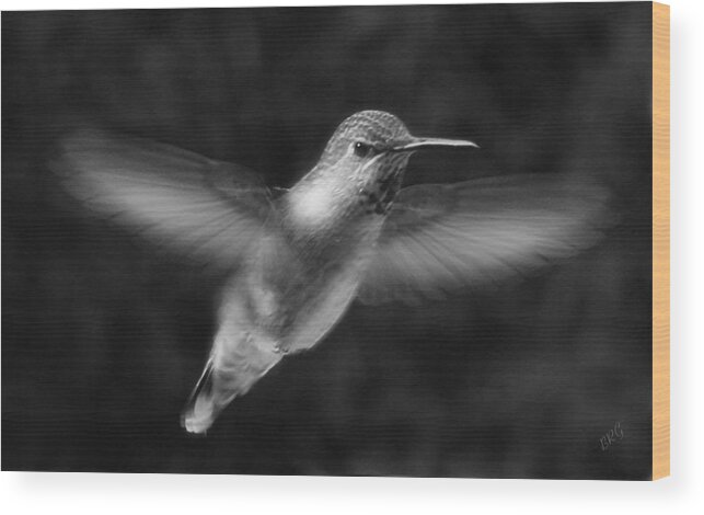 Bird Wood Print featuring the photograph Hummingbird by Ben and Raisa Gertsberg