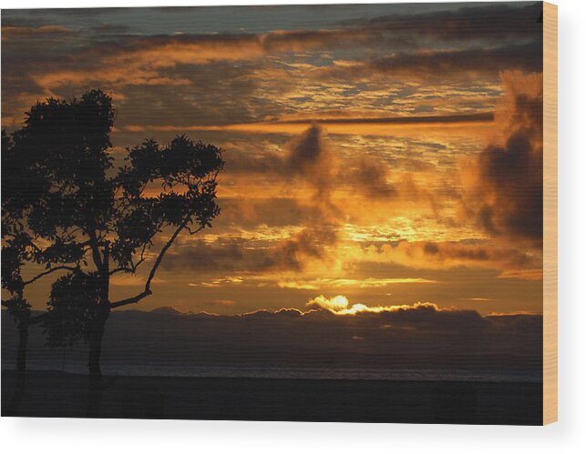 Sunset Wood Print featuring the photograph Huntington Beach Sunset by Matt Quest