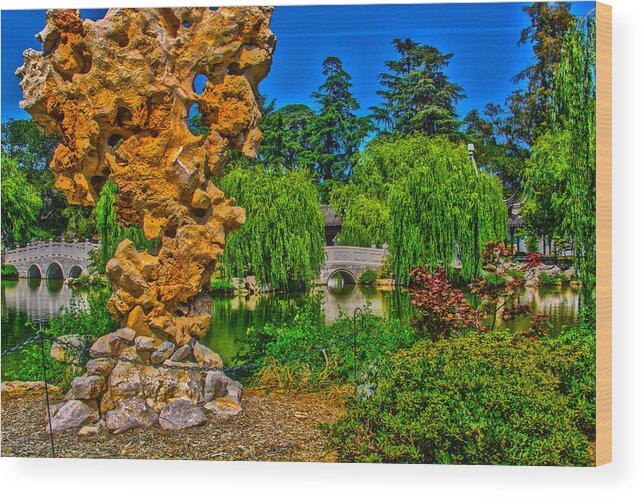 Huntington Library California Wood Print featuring the photograph Huntington Gardens CA by Richard J Cassato