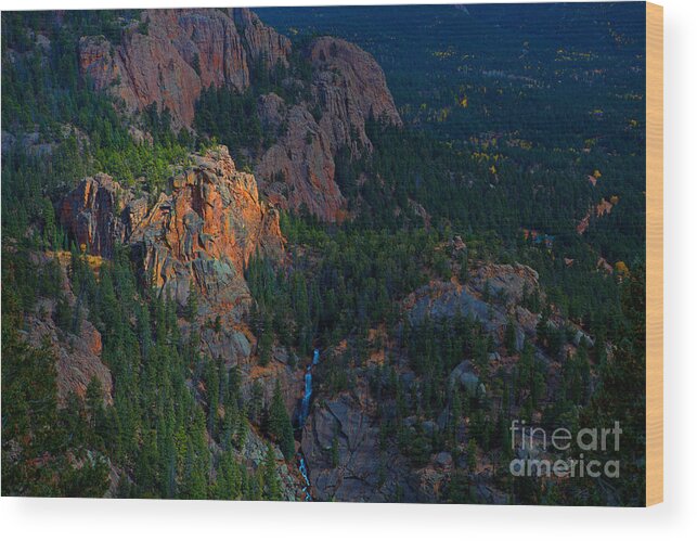 Rocky Mountains Wood Print featuring the photograph I know a Secret by Barbara Schultheis