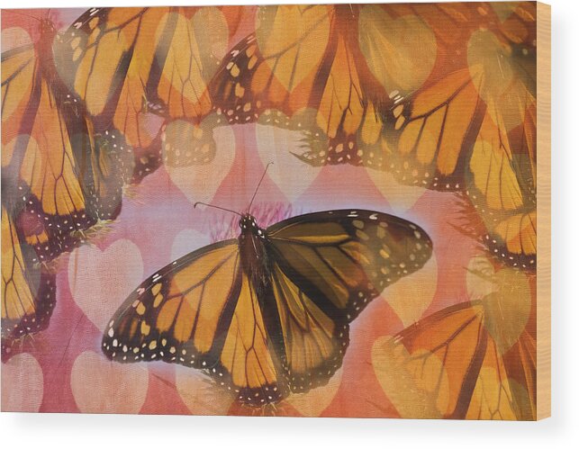 Monarch Butterfly Wood Print featuring the photograph I Love Monarchs by Thomas Young