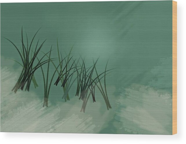 Digital Art Wood Print featuring the photograph Deep Waters by Diana Angstadt