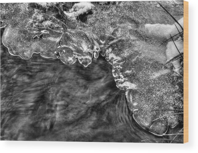 Ice Wood Print featuring the photograph Ice On Creek in Black and White by Greg and Chrystal Mimbs