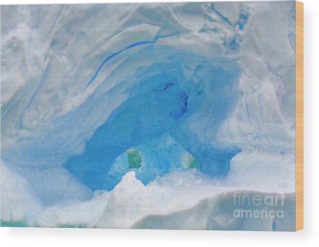 00345596 Wood Print featuring the photograph Dark Blue Hollow Iceberg by Yva Momatiuk John Eastcott