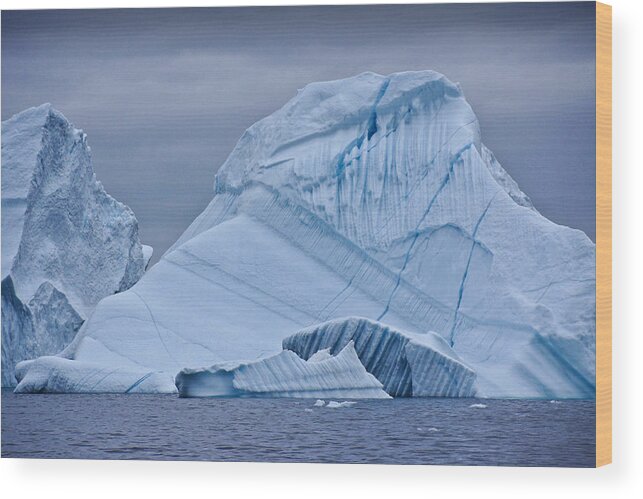 Arctic Wood Print featuring the photograph Icebergs in Blue No. 2 by Michele Burgess