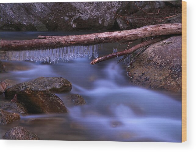 Smsp Wood Print featuring the photograph Icicles on the River by Mark Steven Houser