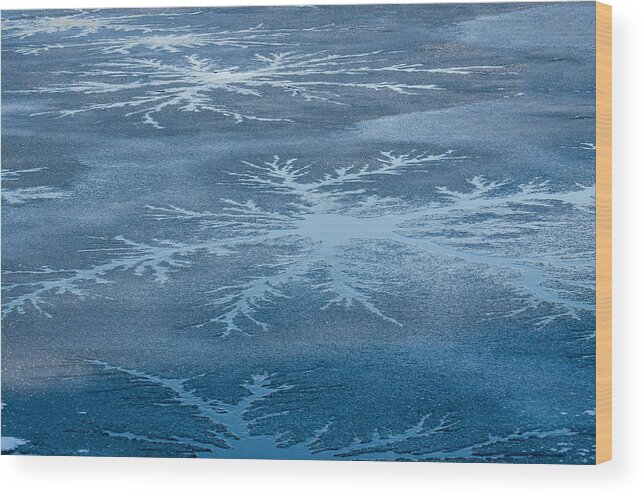 Ice Wood Print featuring the photograph Icy Designs by Cathy Kovarik