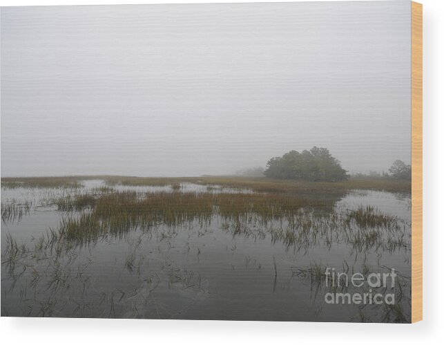 Fog Wood Print featuring the photograph Icy Fog by Dale Powell