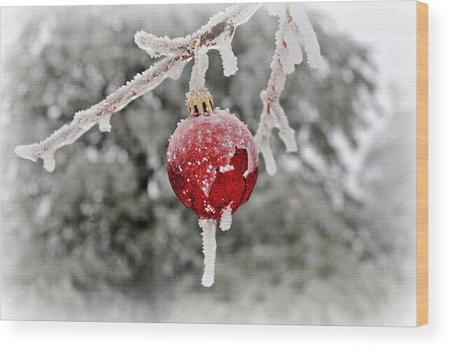 Ornament Wood Print featuring the photograph Icy Glazing by Kelly Nowak