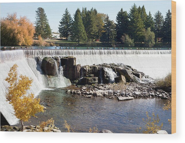 Spray Wood Print featuring the photograph Idaho Falls by Kingwu