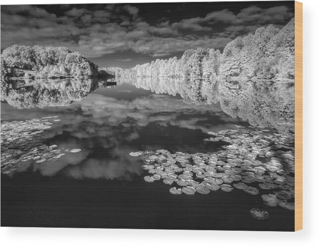 Infrared Wood Print featuring the photograph If I am dreaming do not wake me by Edward Kreis