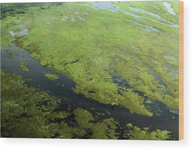 Tranquility Wood Print featuring the photograph Ilha De Marajó by Ricardo Lima