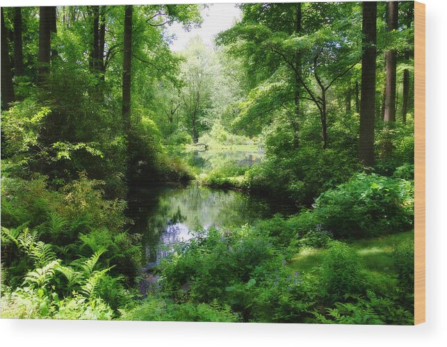 Forest Wood Print featuring the photograph In the Stillness by Trina Ansel