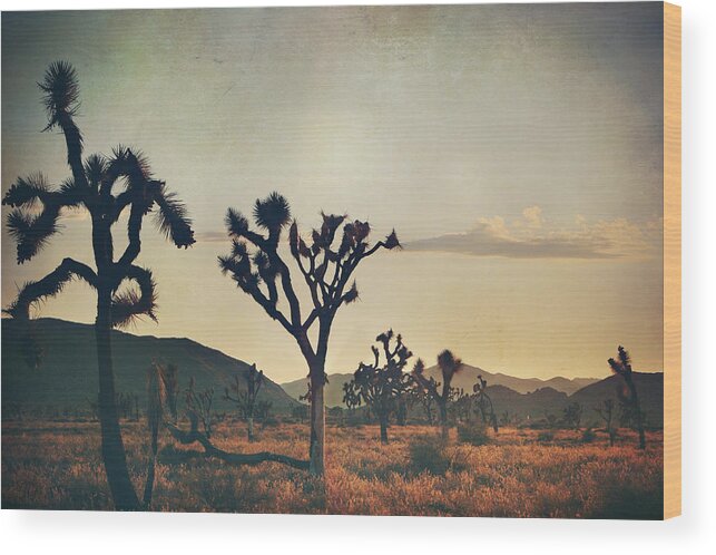 Joshua Tree National Park Wood Print featuring the photograph In Your Arms as the Sun Goes Down by Laurie Search
