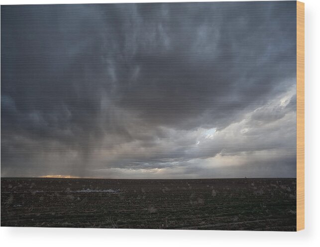 Agriculture Wood Print featuring the photograph Incoming Storm Over A Cotton Field by Melany Sarafis