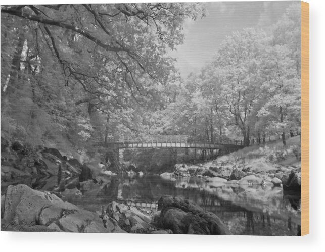 River Wood Print featuring the photograph Infrared river by B Cash