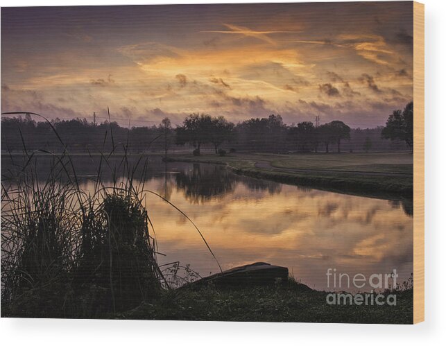 Florida Wood Print featuring the photograph Innisbrook Sunrise by Timothy Hacker