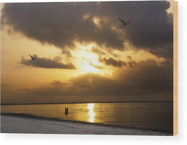  Wood Print featuring the photograph Inspire To Believe by Everett Houser