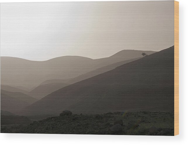 Israel Wood Print featuring the photograph Into the Israel Desert - 1 by Dubi Roman