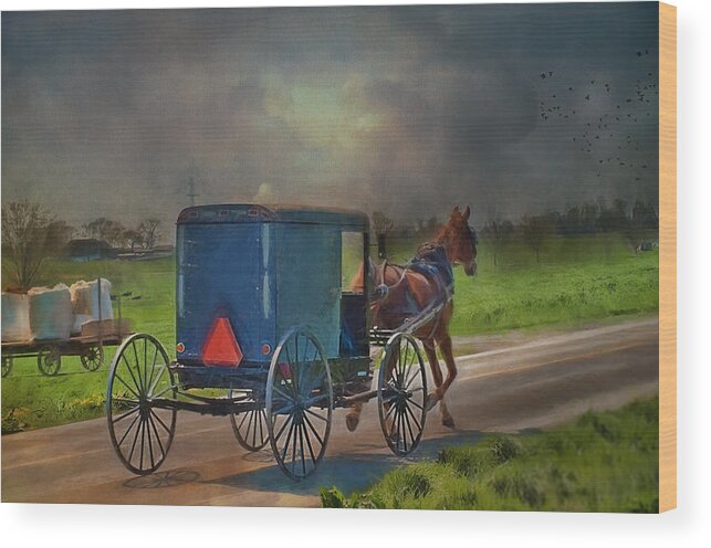 Amish Wood Print featuring the photograph Into The Storm by Kathy Jennings