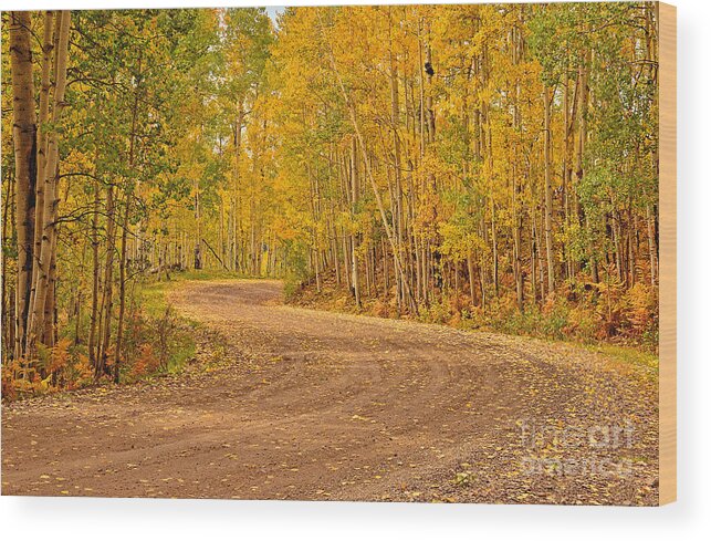 Aspen Wood Print featuring the photograph Inviting Bend by Kelly Black