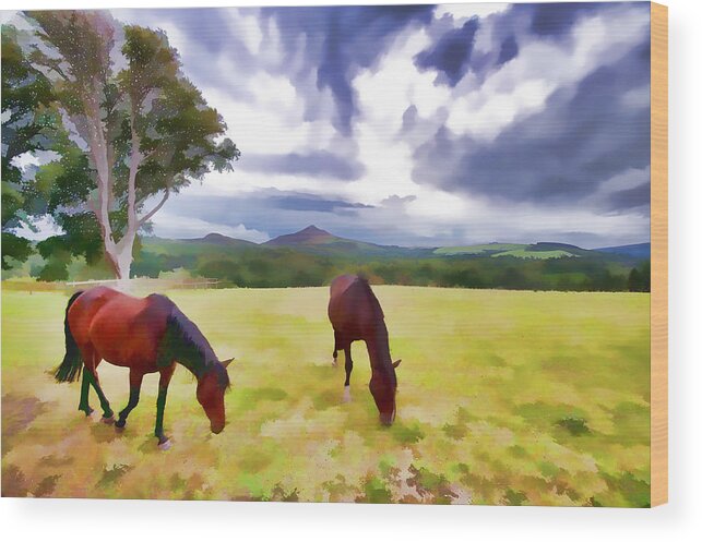 Ireland Wood Print featuring the photograph Irish Horses Afield by Allan Van Gasbeck