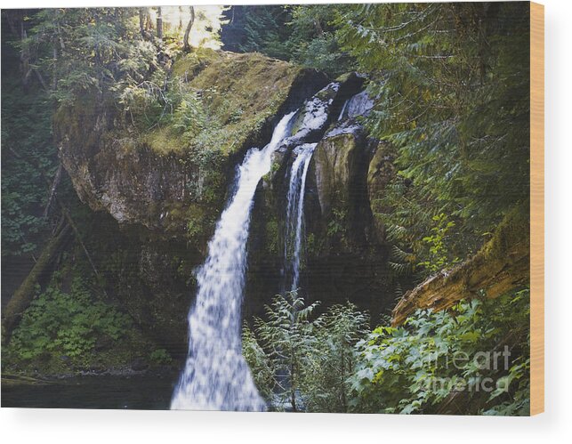 Trees Wood Print featuring the photograph Iron Creek Falls by Rich Collins