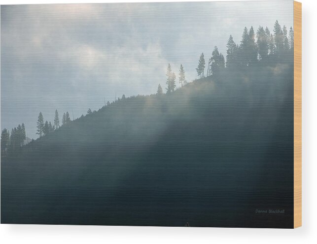 Fog Wood Print featuring the photograph Iridescent Mist by Donna Blackhall