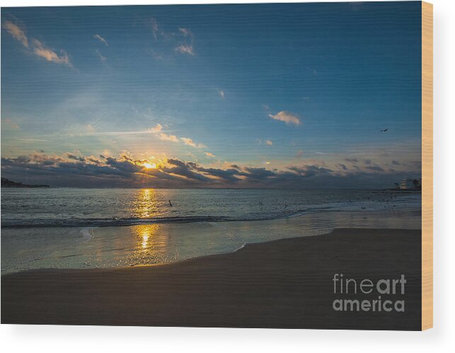Sullivan's Island Wood Print featuring the photograph Coastal Beach Sunrise by Dale Powell