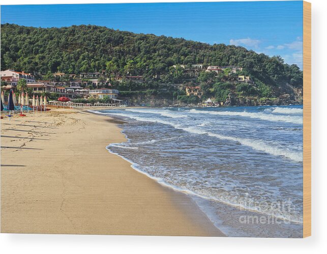 Bay Wood Print featuring the photograph Isle of Elba - La Biodola beach by Antonio Scarpi
