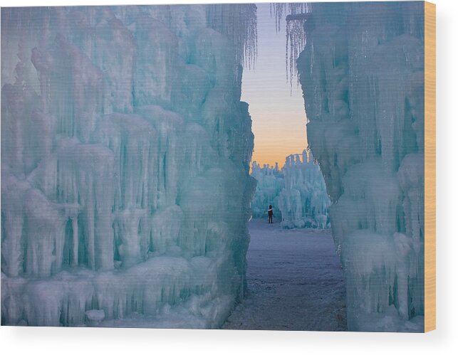 Ice Wood Print featuring the photograph Isolation by Christie Kowalski