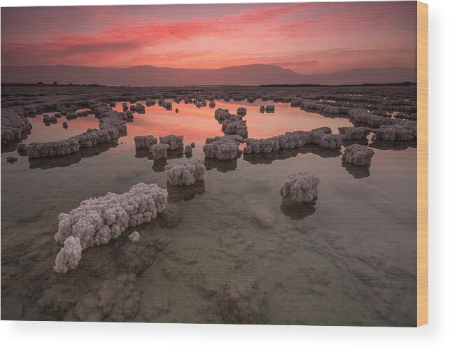 Scenics Wood Print featuring the photograph Israel, Sunrise over crystals in Dead Sea by Ronenr