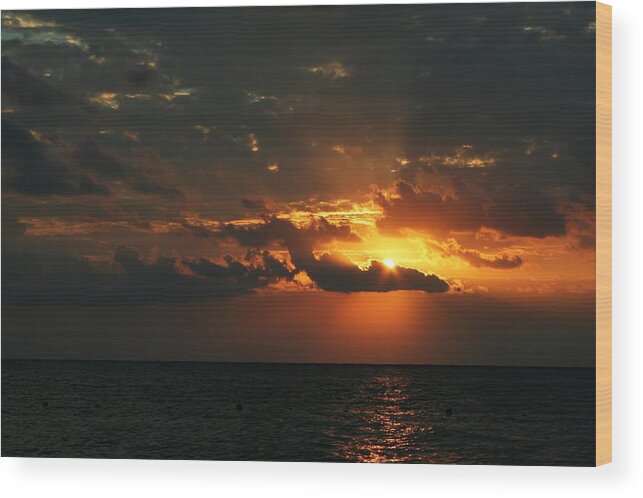 Cozumel Wood Print featuring the photograph It Burns by Laurie Search