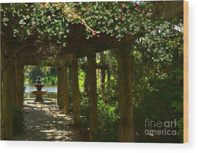 Garden Wood Print featuring the photograph Italian Garden Pergola and Fountain by Amy Lucid