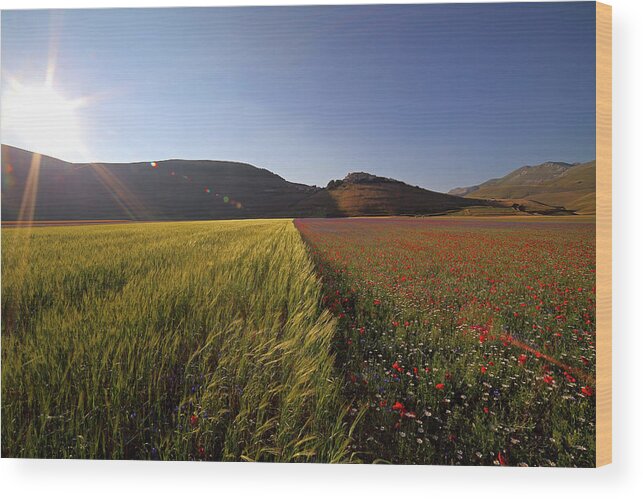Outdoors Wood Print featuring the photograph Italy by Manuelo Bececco Global Nature Photographer