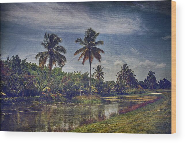 Punta Cana Wood Print featuring the photograph It's Hanging in the Air by Laurie Search