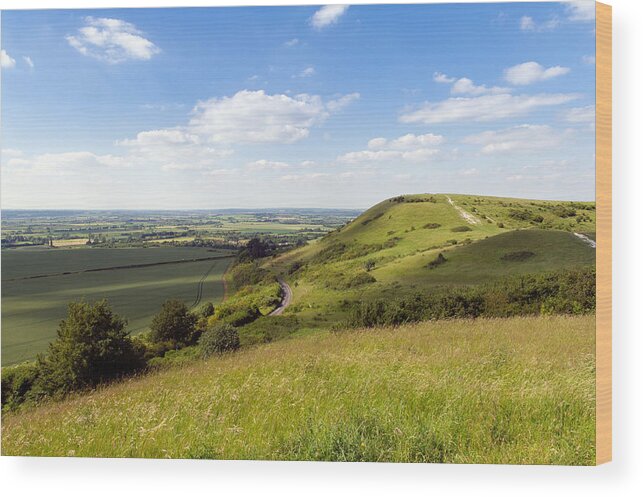 Buckinghamshire Wood Print featuring the photograph Ivinghoe Beacon and Aylesbury Vale by Gary Eason