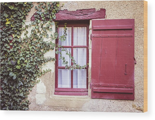 France Wood Print featuring the photograph Ivy and Wine by Melanie Alexandra Price