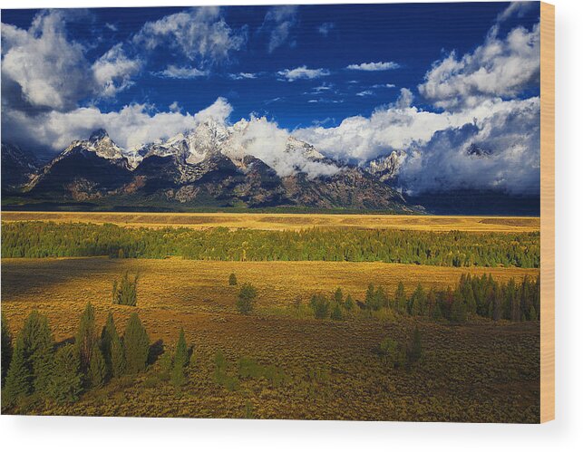 Landscape Wood Print featuring the photograph Jackson and Salt Lake USA #12 by Richard Wiggins