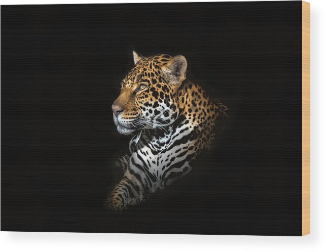 Jaguar Wood Print featuring the photograph Jaguar Portrait by Majestic Moments Photography,